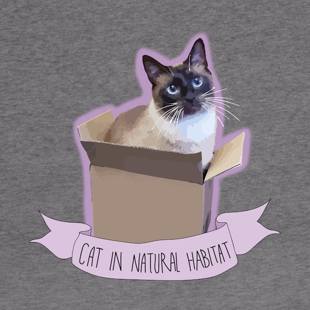 Cat in a box by Online_District